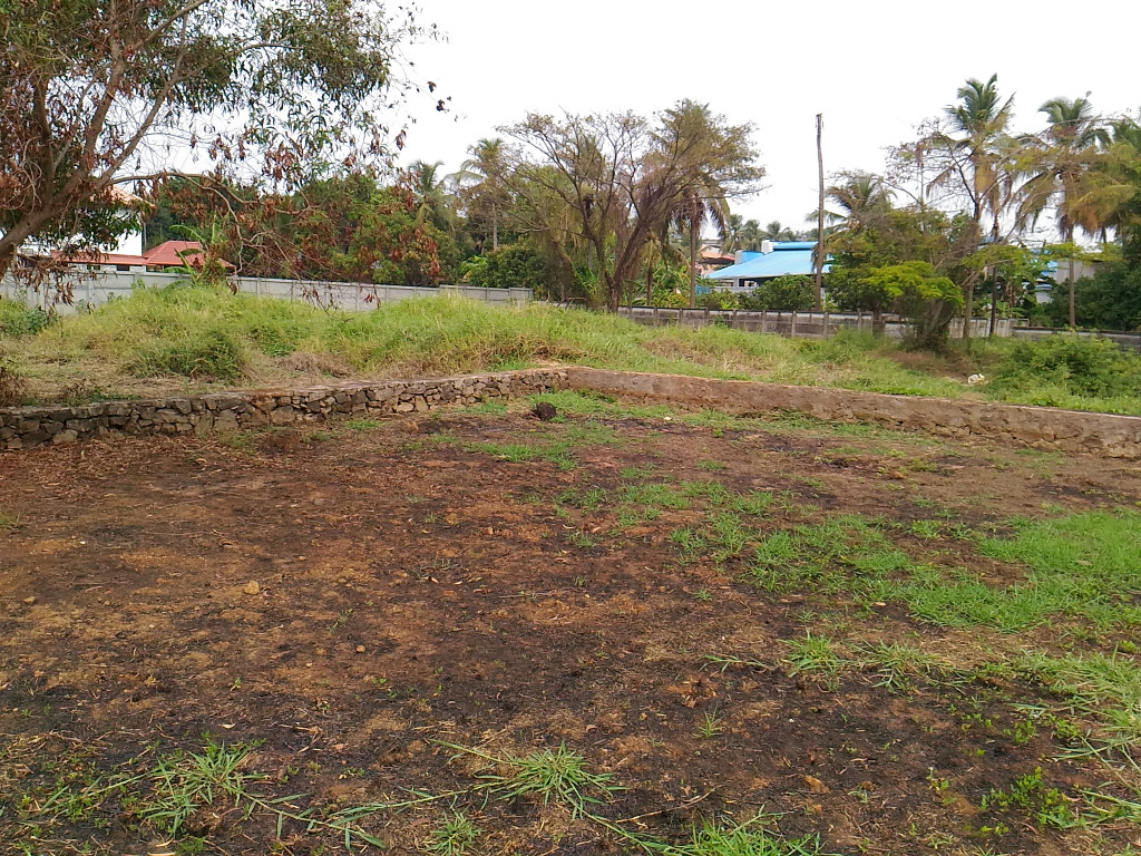 house plot for sale thrissur 