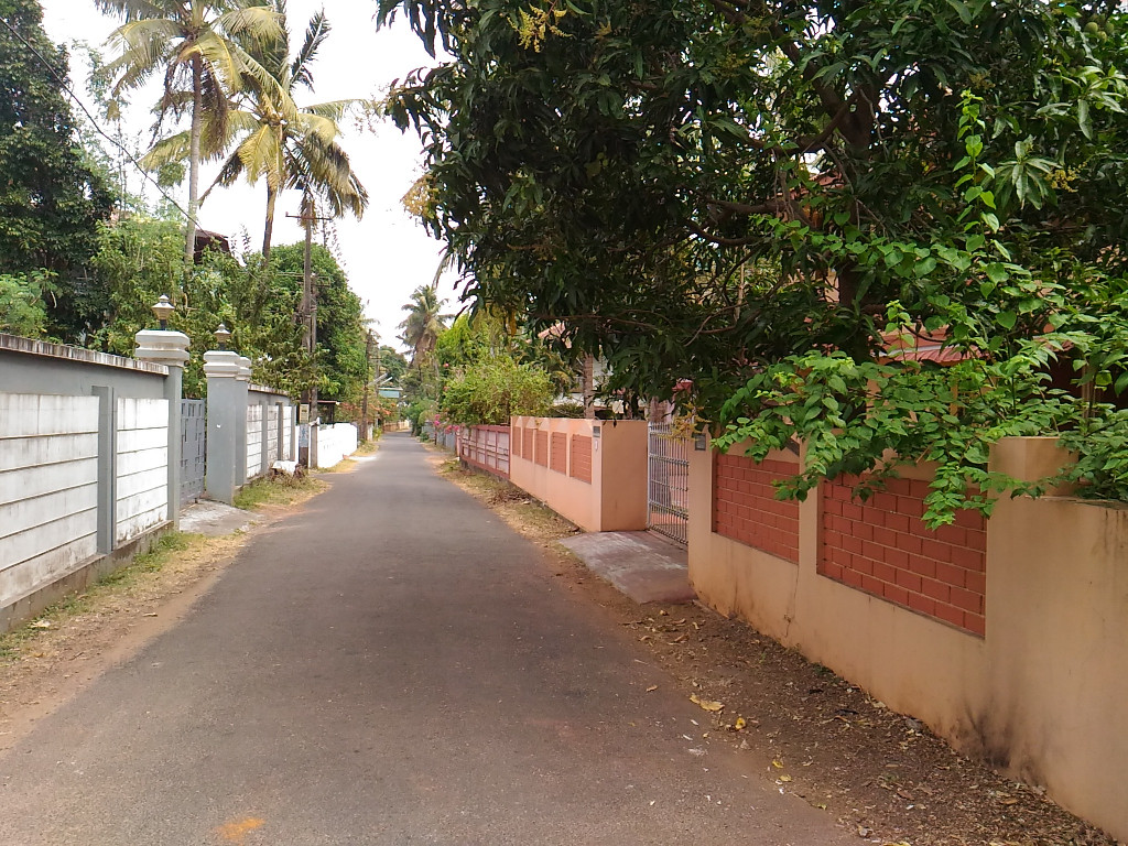 plot for sale in Thrissur coporation 